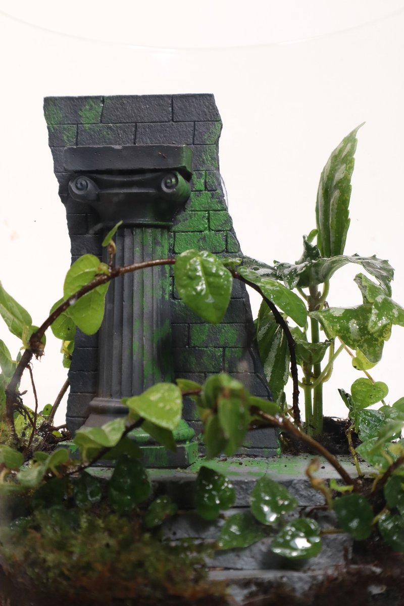 【微景观】巴勒贝克之谜 Baalbek -罗马遗迹/室内植物/生日礼物 - 植栽/盆栽 - 玻璃 绿色