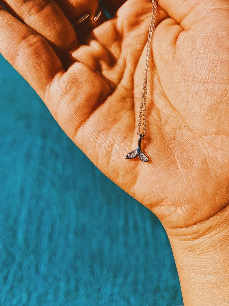 闪钻小鱼尾锁骨链纯银项链 LITTLE FISHTAIL - 项链 - 纯银 银色