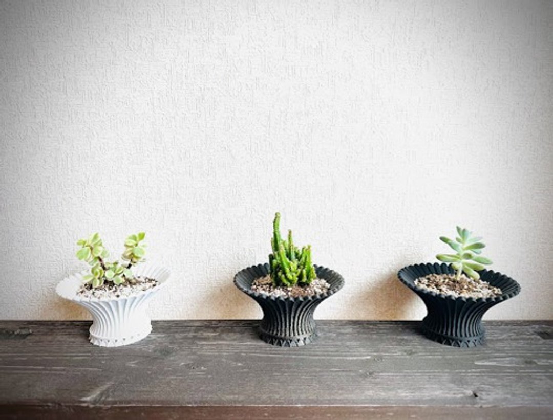 花盆 塑料花盆 砂浆造型 - 植栽/盆栽 - 塑料 