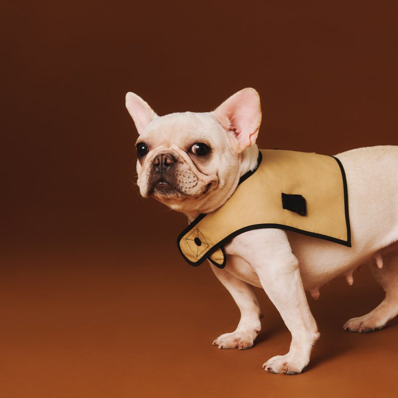 moonrise / khaki 猫狗可穿双面围巾 - 衣/帽 - 棉．麻 卡其色