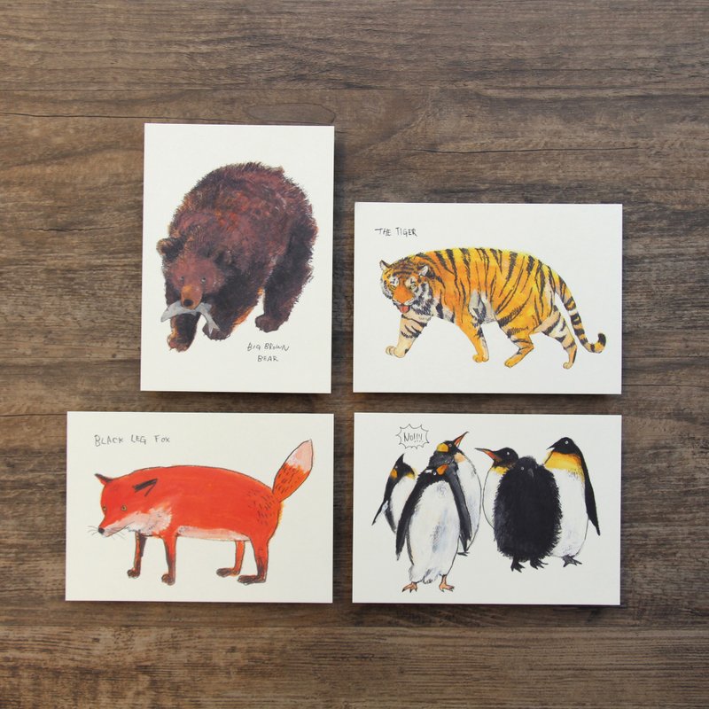 动物明信片 4张组 - 卡片/明信片 - 纸 多色