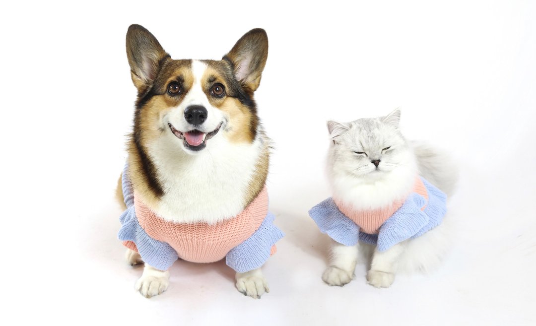 活潑撞色 宠物针织毛衣 sweater for pets - 衣/帽 - 羊毛 粉红色
