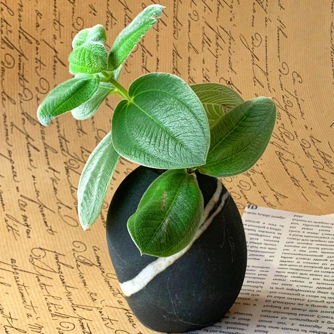 台湾 南田石花器 蜿蜒无尽 │ 天然水墨系列  摆饰 - 花瓶/陶器 - 其他材质 灰色