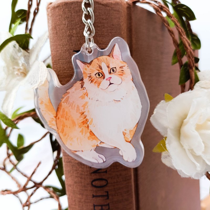 KR450_慵懶布偶貓/ 晶透吊飾 - 钥匙链/钥匙包 - 塑料 多色