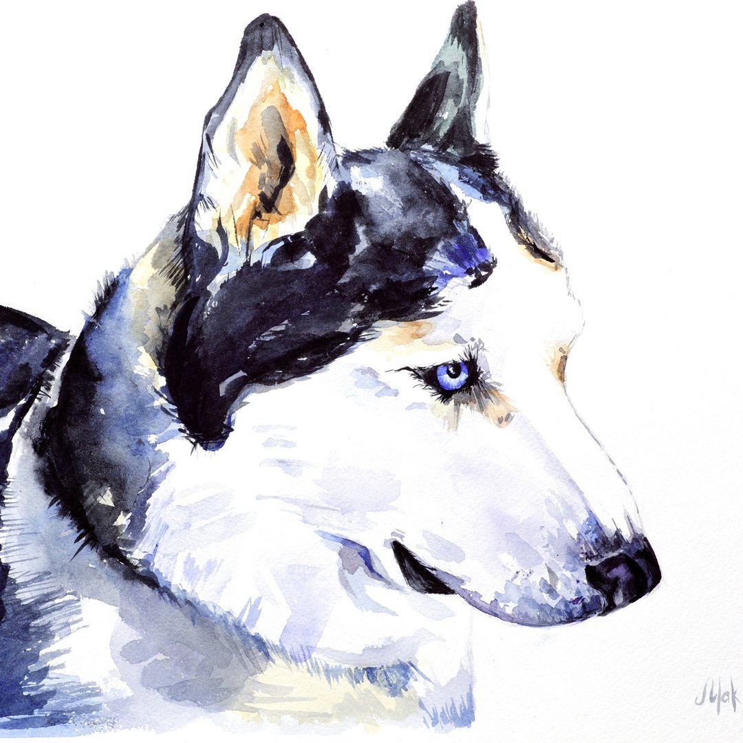 Custom Pet Portrait Original Painting Draw My Pet Paint My Cat Pet Commission - 海报/装饰画/版画 - 纸 多色