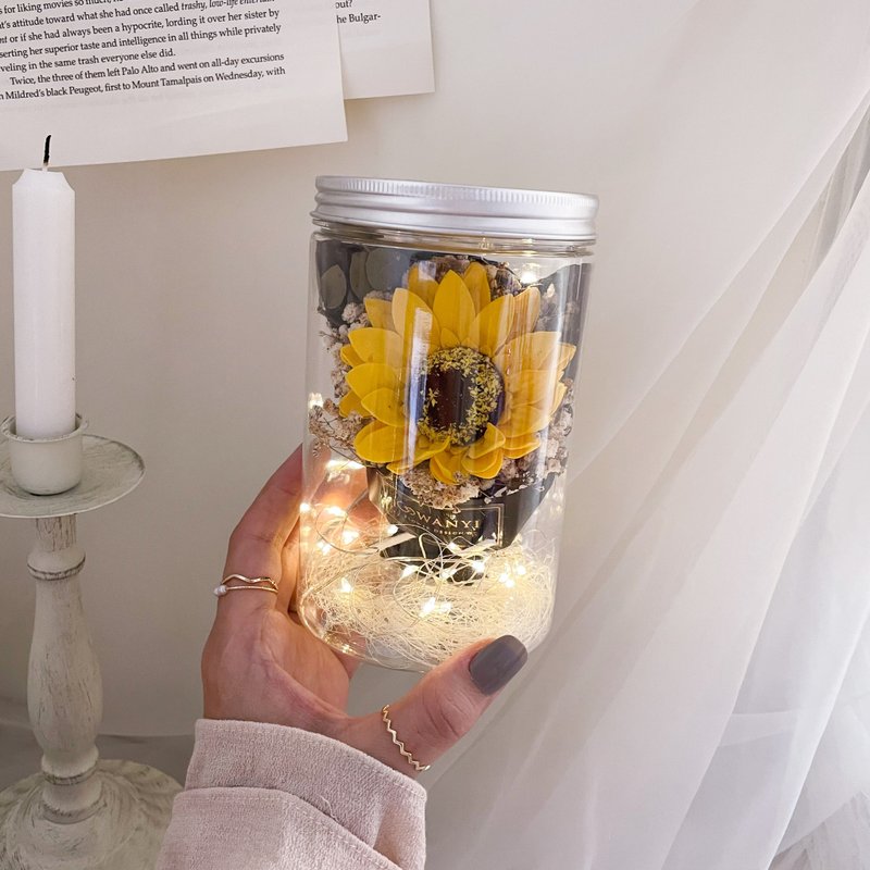 经典向日葵小花罐  毕业礼物 干燥花 情人节 花束 送礼 生日礼物 - 灯具/灯饰 - 植物．花 红色