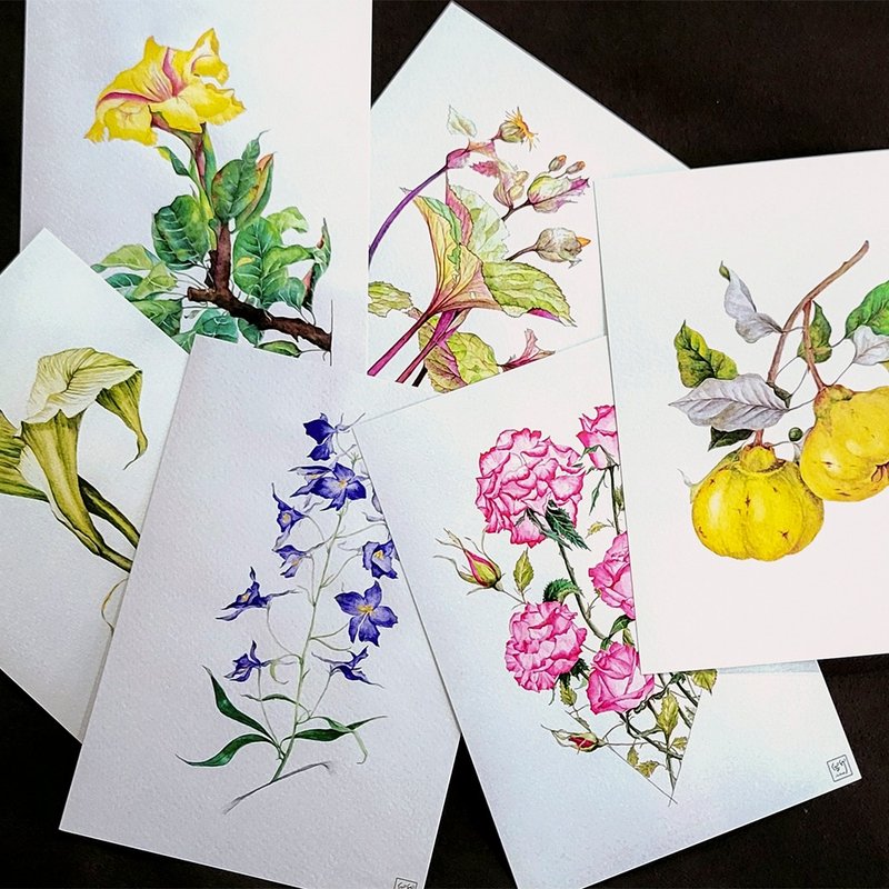 花间集 / 万用卡 - 卡片/明信片 - 纸 多色