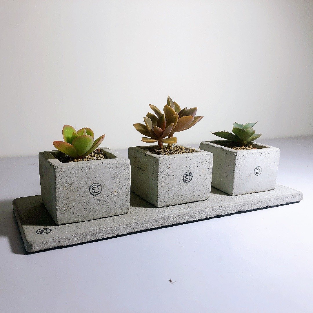 【野草不野】开店新居、祝贺花礼 - 三立方 / 方盆三连组含垫 - 植栽/盆栽 - 植物．花 绿色