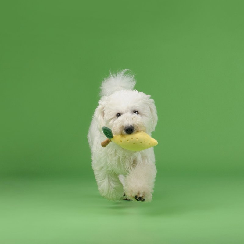 【狗玩具】 CHEWFFON 清新柠檬 - 玩具 - 其他材质 
