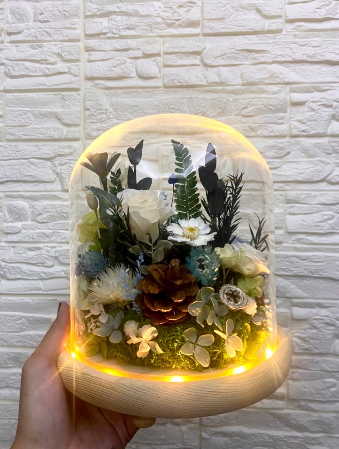 定制化宠物骨灰玻璃夜灯 宠物纪念永生花 - 其他 - 植物．花 