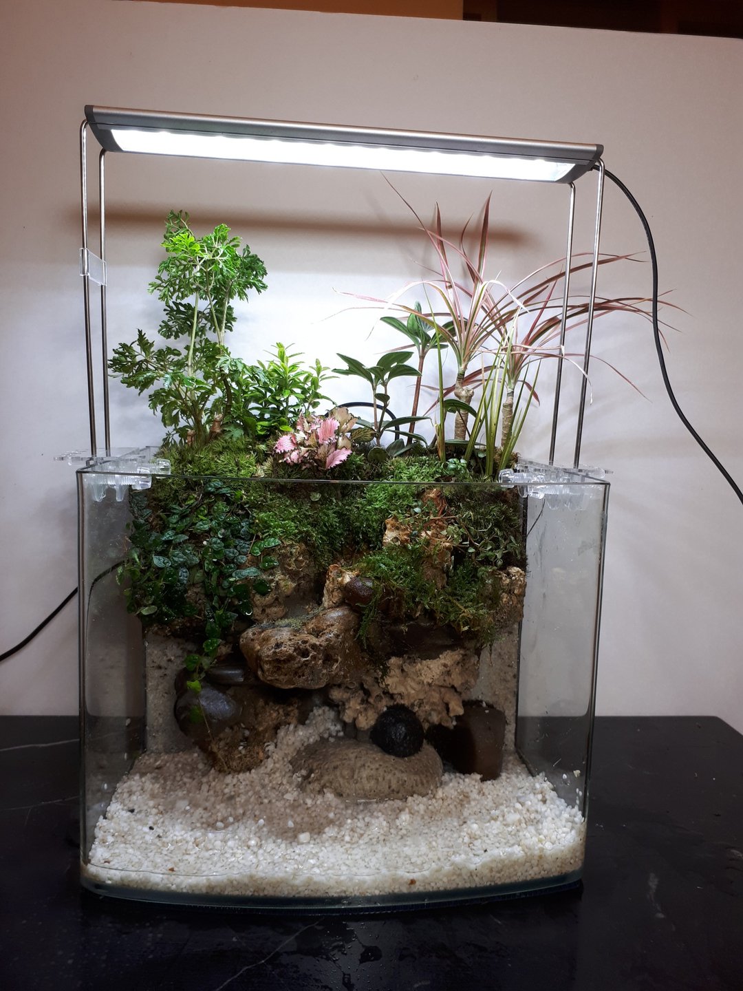 开运生态造景鱼缸AG-30 ㄇ 型平面 居家风水最耀眼的摆饰 - 植栽/盆栽 - 玻璃 