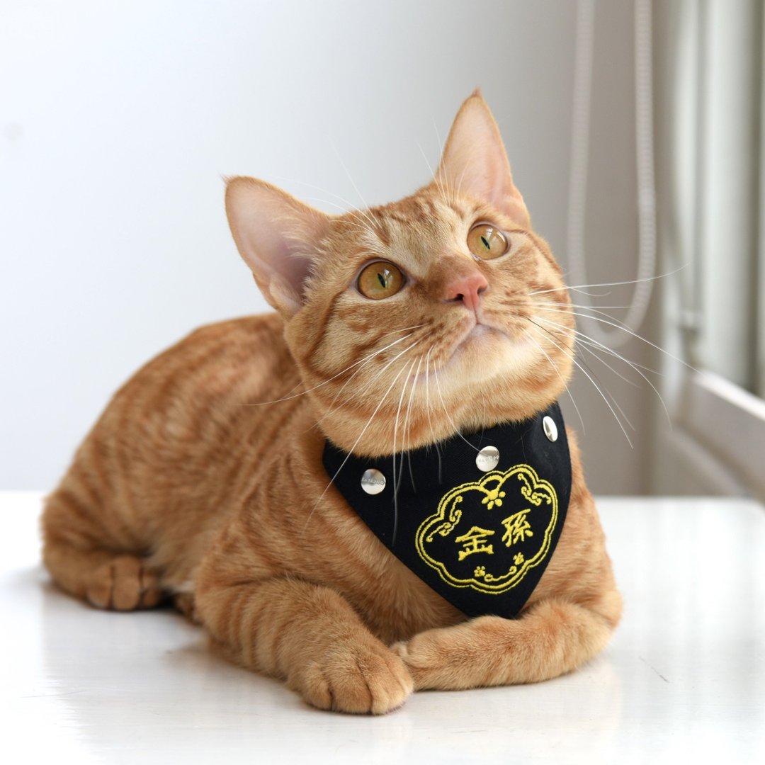 【Outlet绝版品】宠物刺绣领巾-猫主子/兔宝/小犬皆宜 - 衣/帽 - 棉 多色