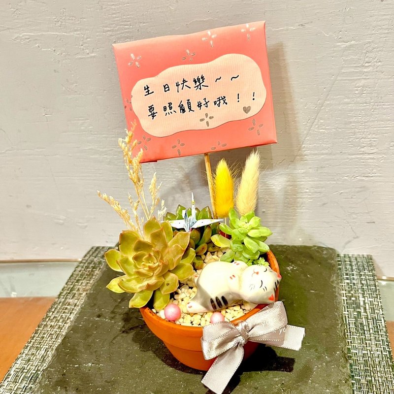 台中多肉组盆 多肉植物 日式枯山水 放松 猫咪 疗愈盆栽 生日礼物 - 植栽/盆栽 - 植物．花 绿色