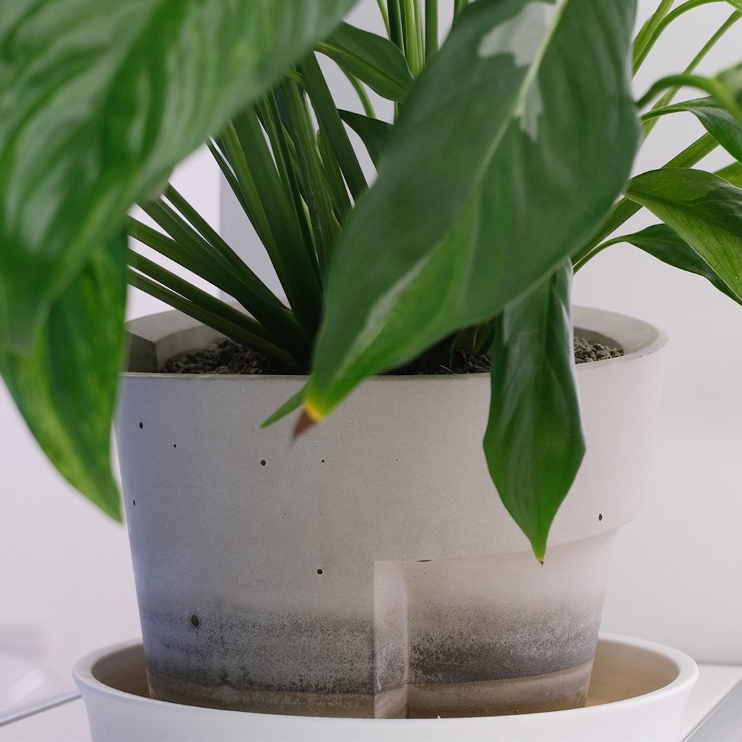水泥回旋大型盆栽 - 植栽/盆栽 - 水泥 灰色