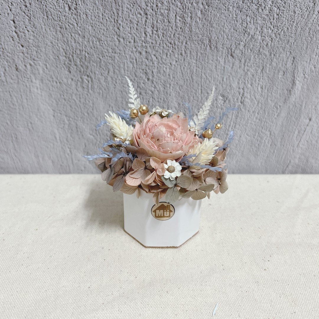 春日氛围 索拉花香氛小盆栽 干燥花 香氛石 附1ml香精油 - 干燥花/捧花 - 植物．花 粉红色