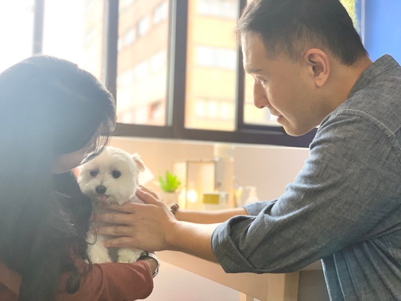 遥距宠物人类灵气疗愈服务 - 其他 - 其他材质 