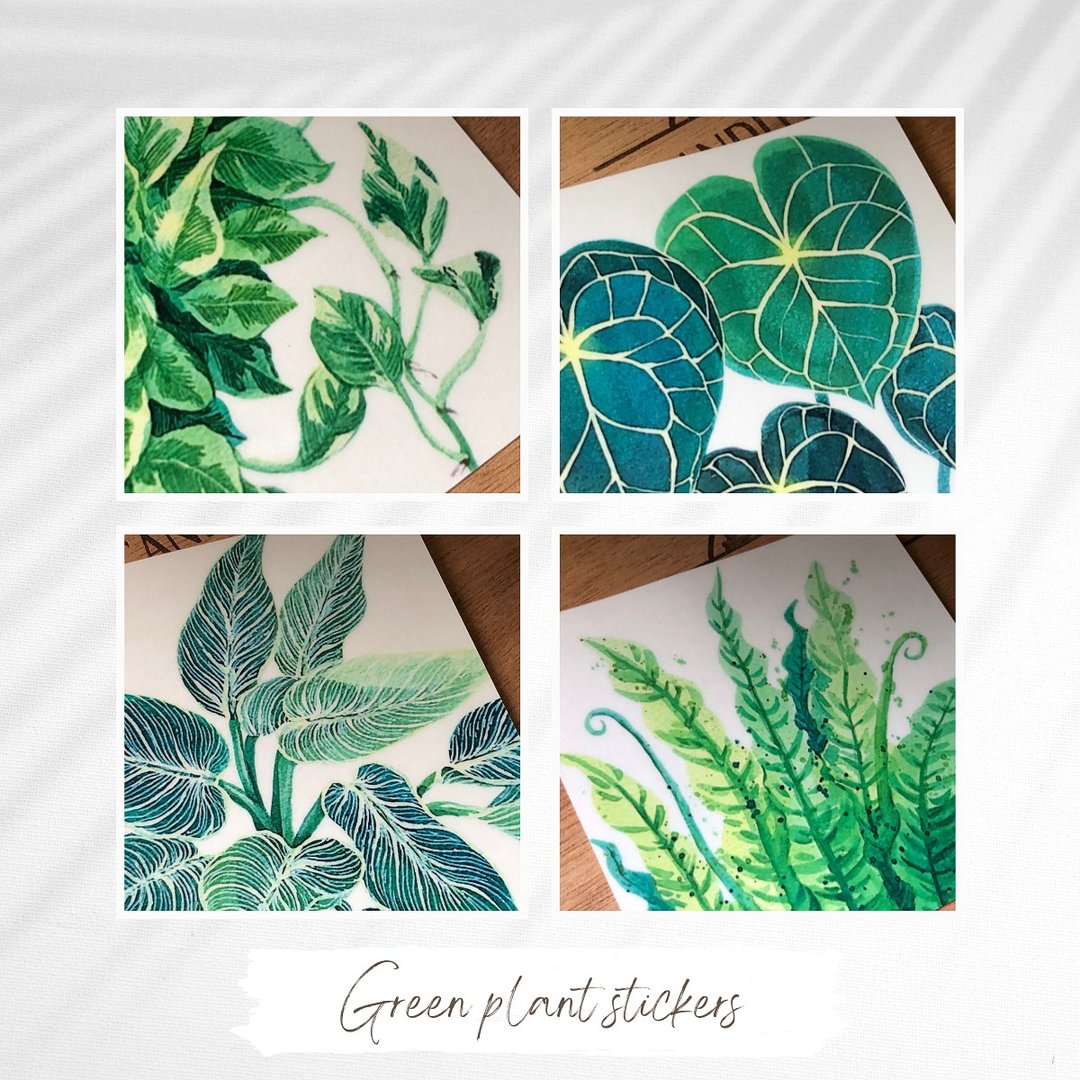 透明防水 · 绿植贴纸 │ 4 Pcs  │9x9cm - 贴纸 - 其他材质 