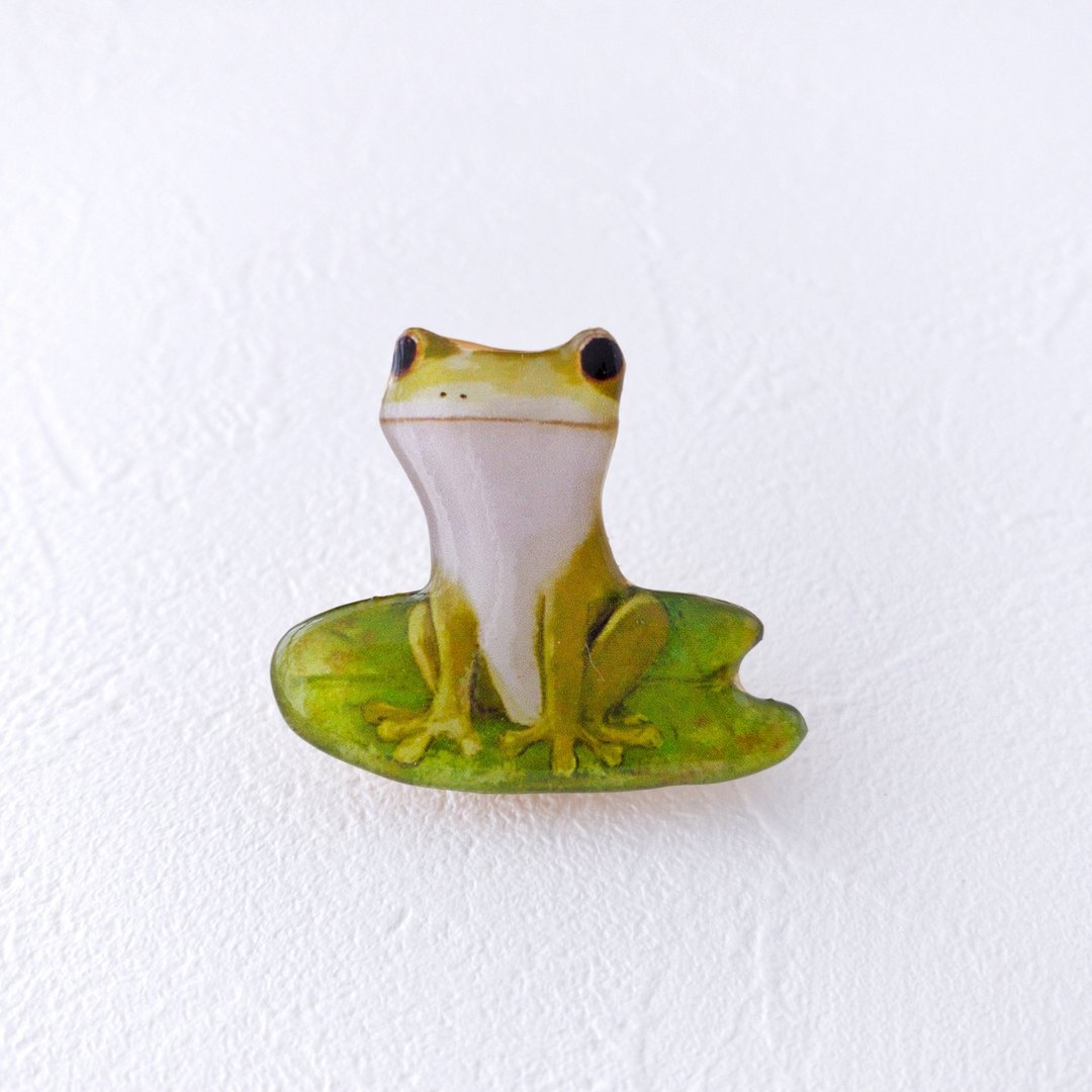 Smiling frog brooch - 胸针 - 树脂 绿色