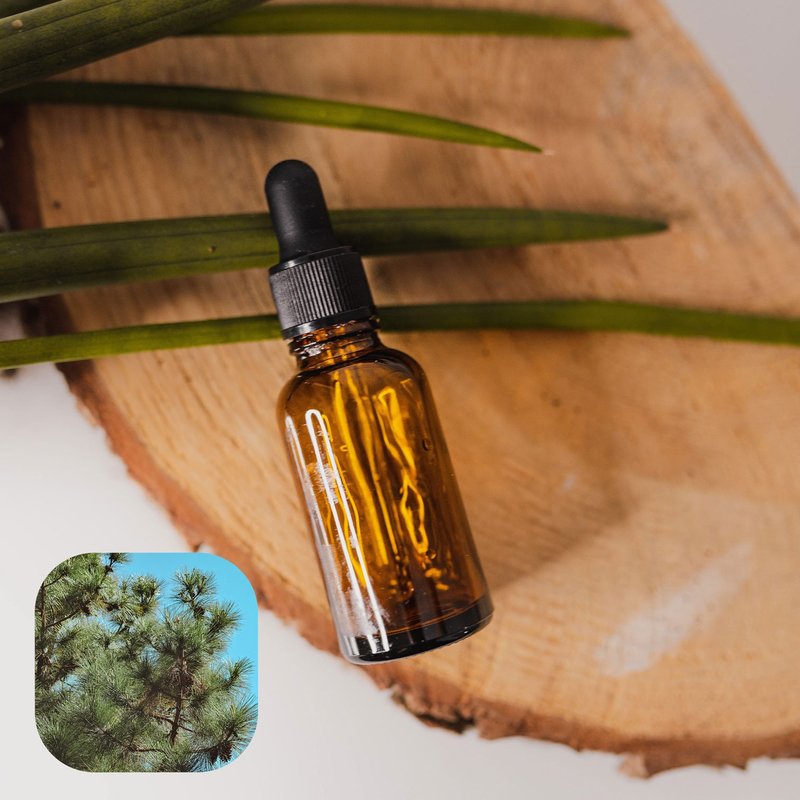 【香间小路】天然精油 阿特拉斯雪松精油 Pine ( 赠甜橙精油10ml) - 香薰/精油/线香 - 玻璃 透明