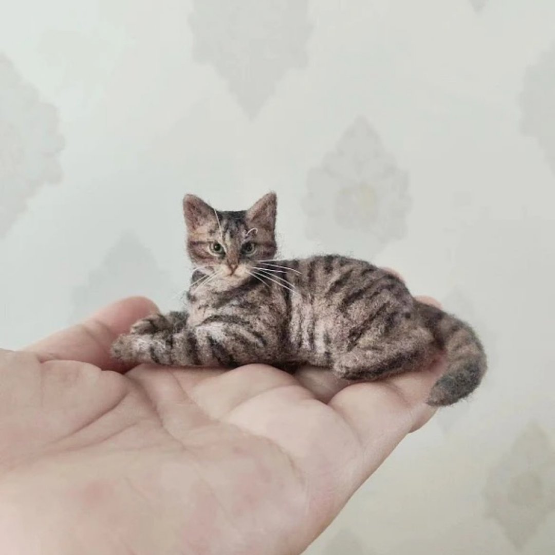 定制化礼物 逼真猫猫 羊毛毡 毛孩 宠物 娃娃 猫咪猫奴 似颜绘 d3 - 玩具 - 羊毛 多色