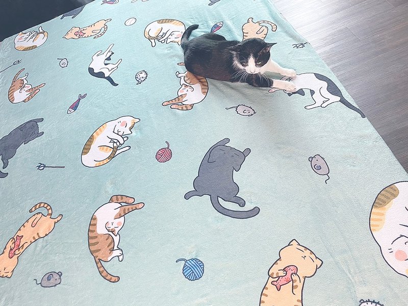 猫奴随意毯 定制 插画 猫 被子 毛毯 生日礼物 情人节礼物 - 被子/毛毯 - 尼龙 多色