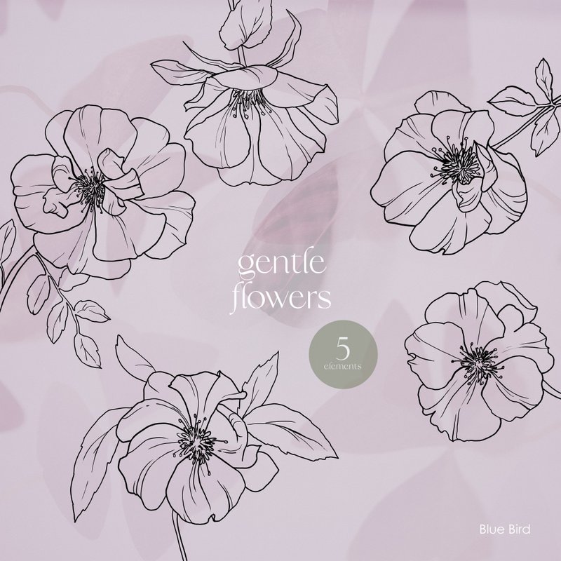 Gentle Flowers. Digital botanica - 其他数码设计 - 其他材质 