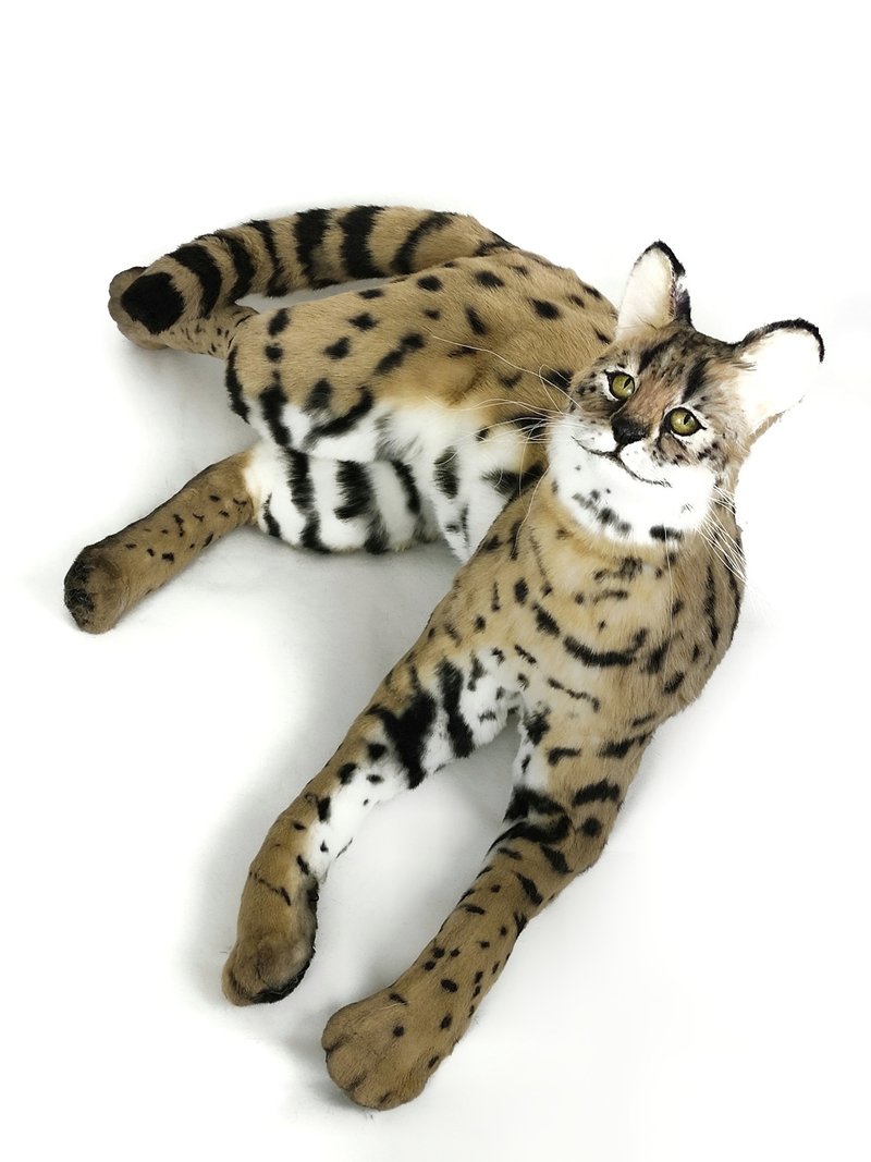 订制写实长颈猫玩偶 - 玩偶/公仔 - 其他材质 