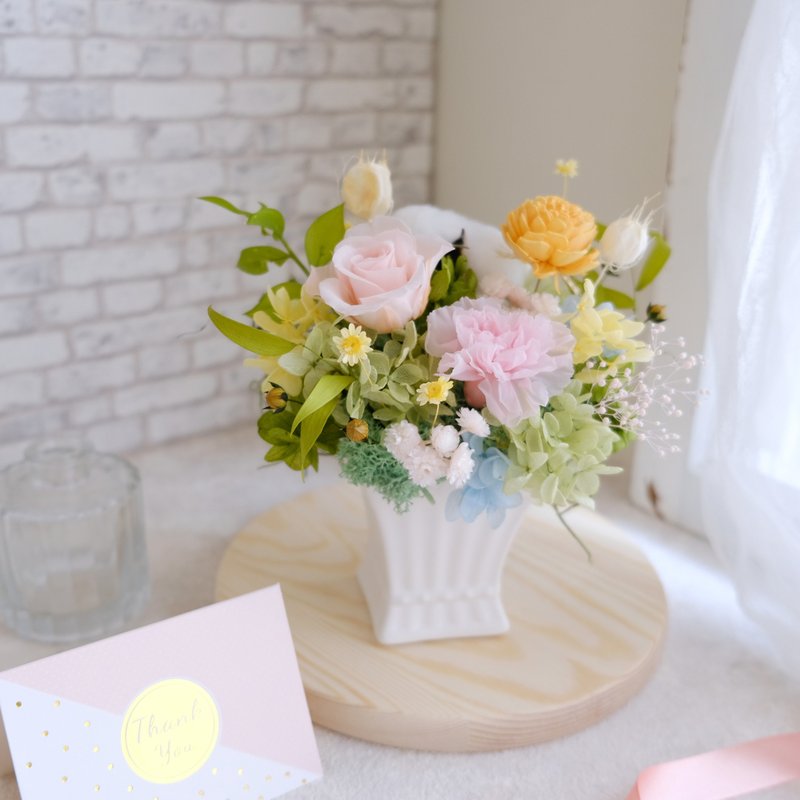 永生花盆花/母亲节盆花/清新/粉红色/淡黄/永生花/干燥花/不凋 - 植栽/盆栽 - 植物．花 粉红色