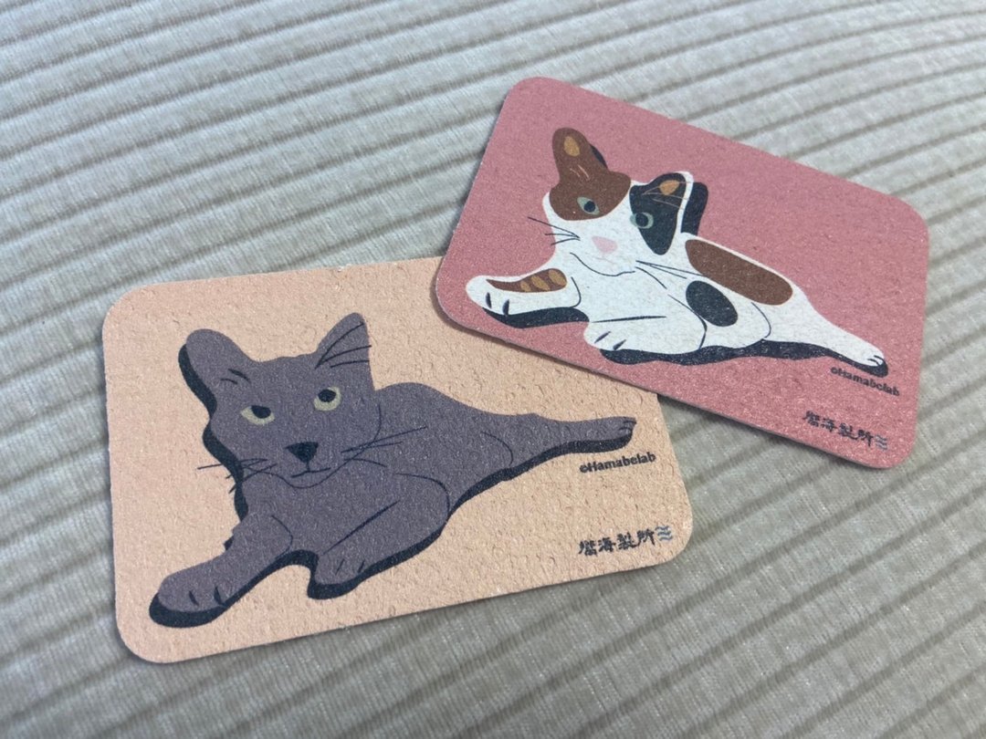 猫的日 猫咪木浆棉洗碗海绵 日常观察家系列(2款可择) 易吸水 - 碗盘清洁 - 海绵 透明
