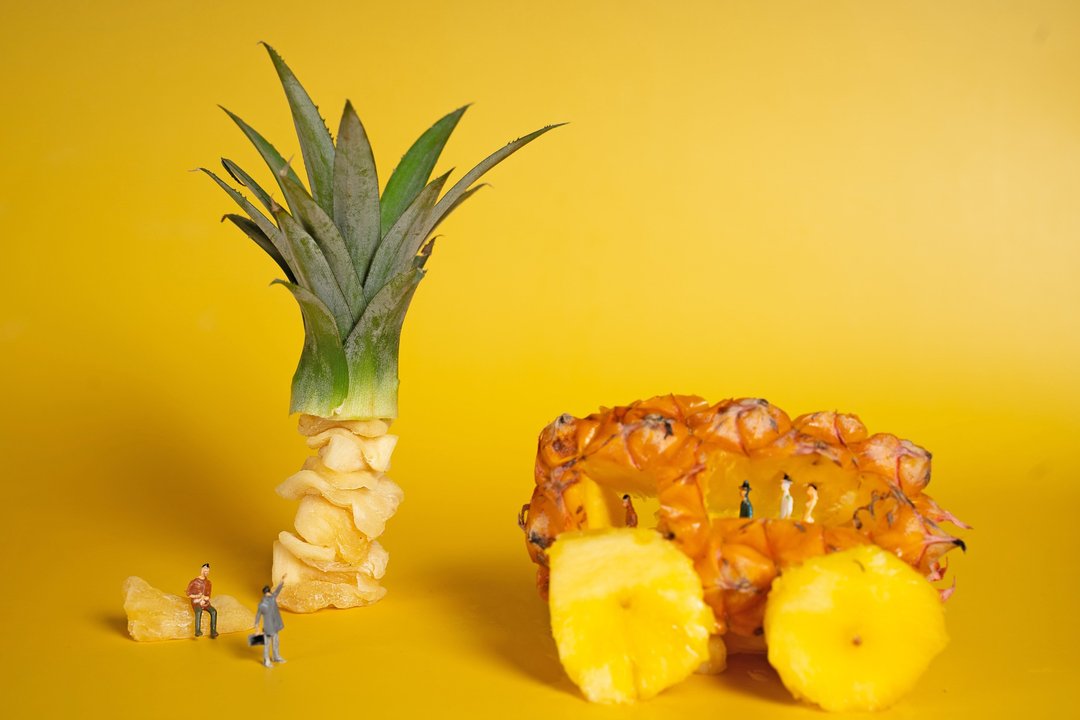 【天然水果干】凤梨干 被榨干的凤梨 上班族的肝 - 水果干 - 新鲜食材 