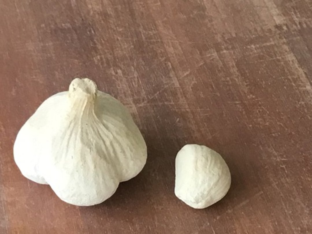 Ceramic garlic - 其他 - 陶 