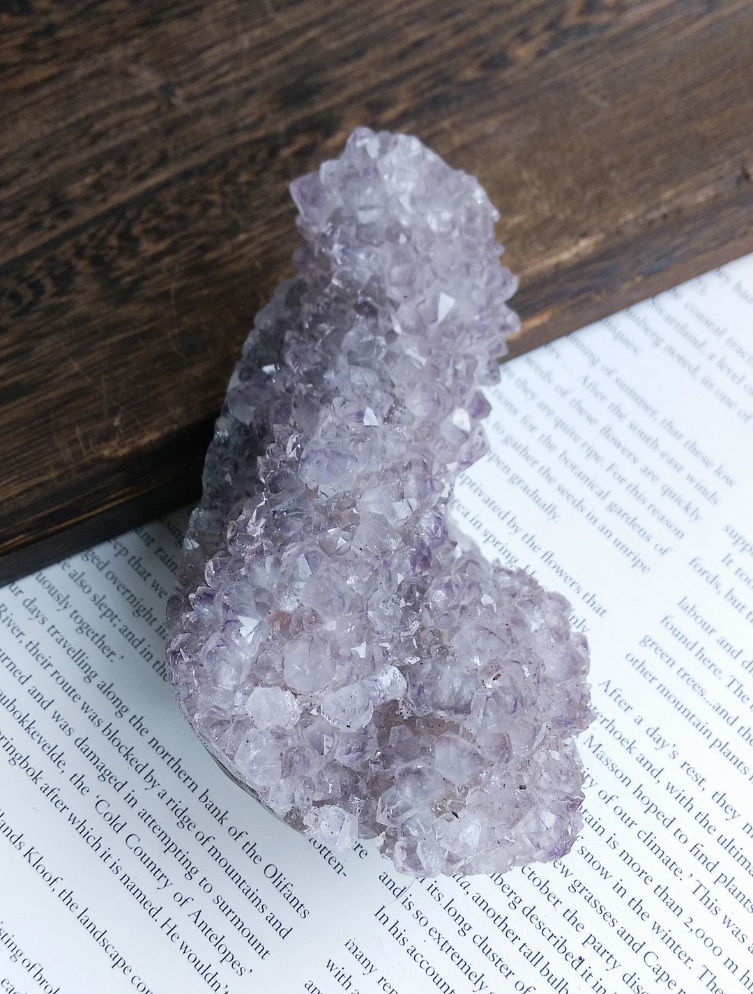 Amethyst  乌拉圭产地 原皮紫水晶  紫水晶晶镇 天然矿石 原矿 - 摆饰 - 其他材质 