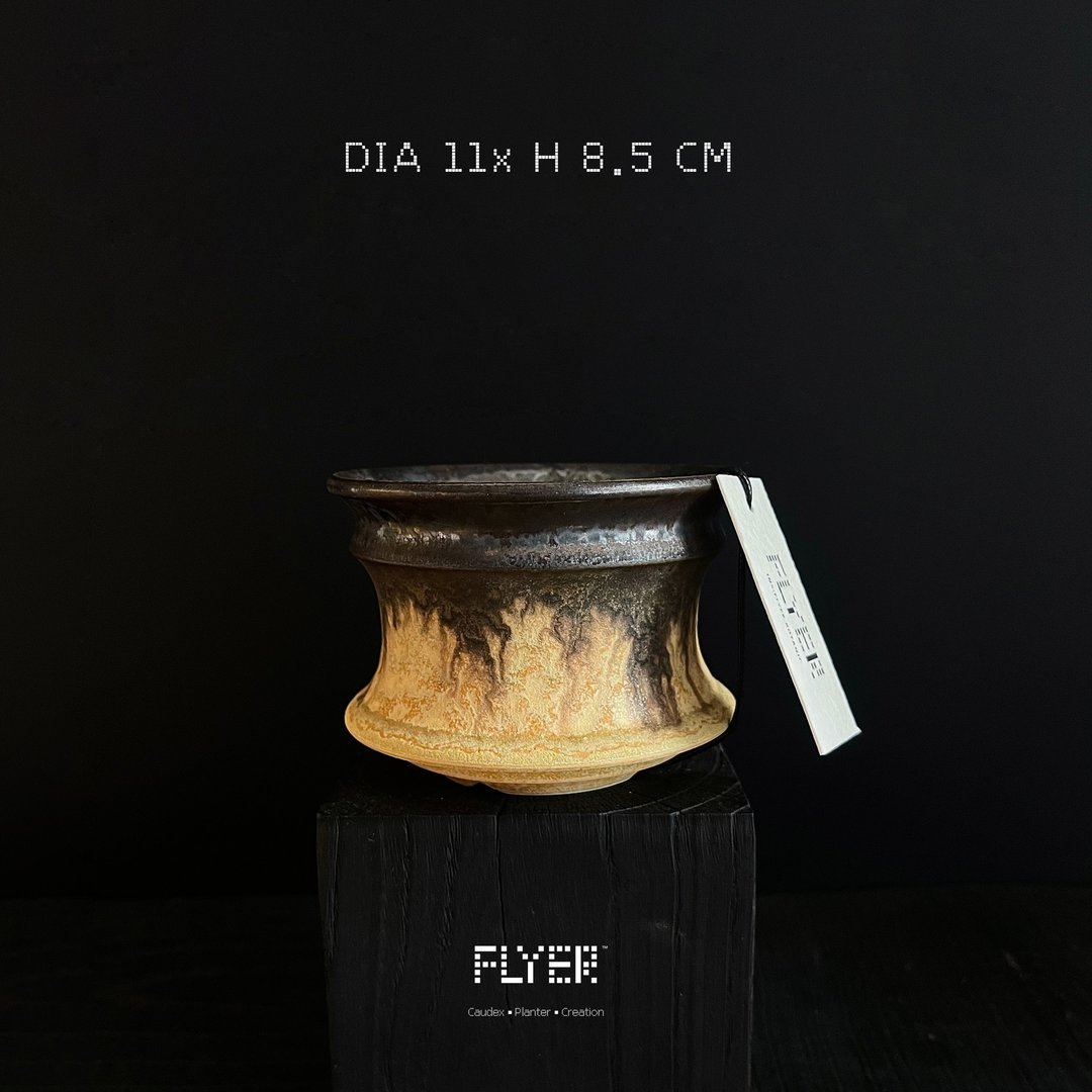 FLYER 块根多肉植物陶盆器 龙舌兰象牙宫象足漆树盆器 - 花瓶/陶器 - 陶 