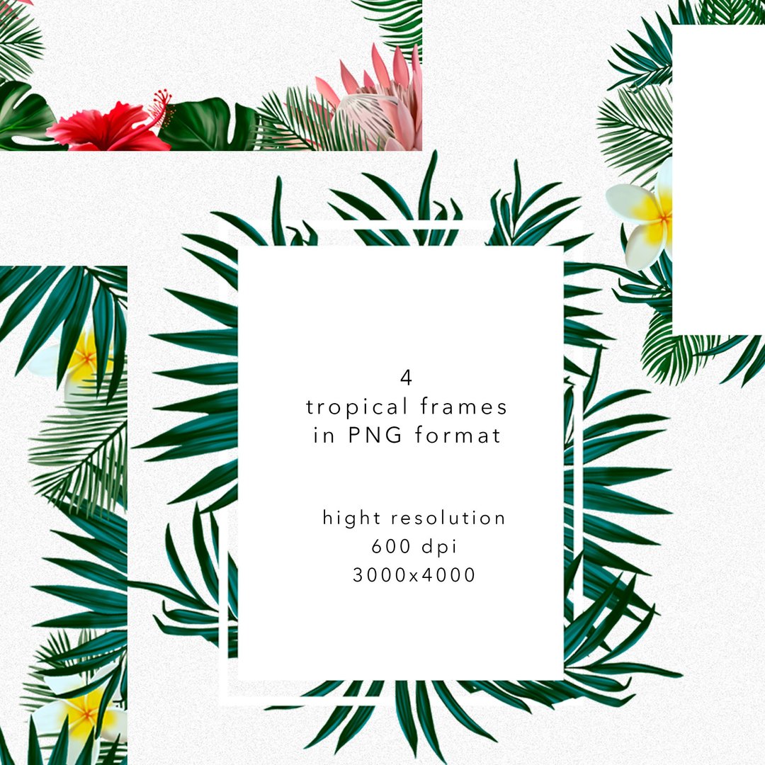 Tropical flowers and leafs frame, monstera, frangipani, protea - 其他 - 其他材质 