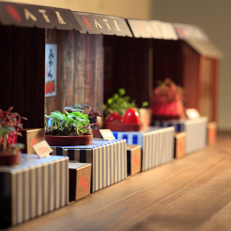 Paper Garden LED迷你植物灯-八百屋 - 植栽 - 植物．花 蓝色