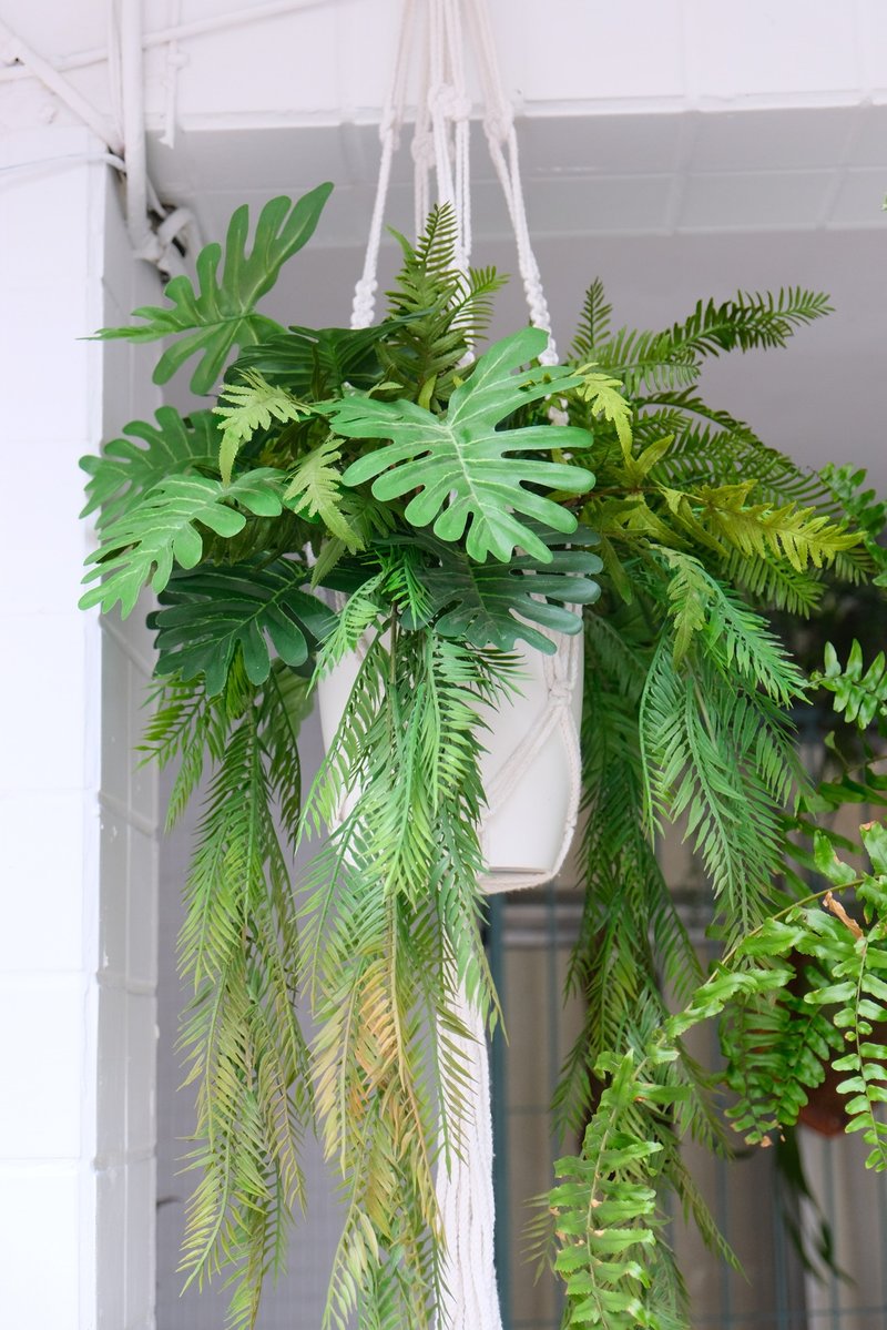 人造植物吊盆设计 空间绿化规划设计 - 植栽/盆栽 - 防水材质 绿色