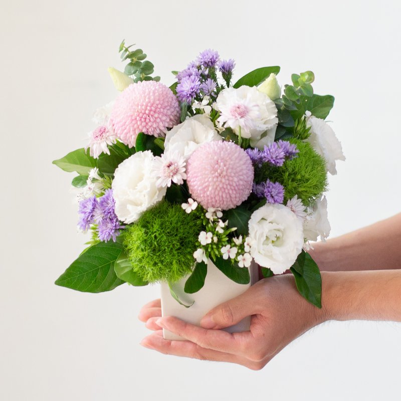 轻柔白云温柔紫桌花 - 植栽/盆栽 - 植物．花 紫色