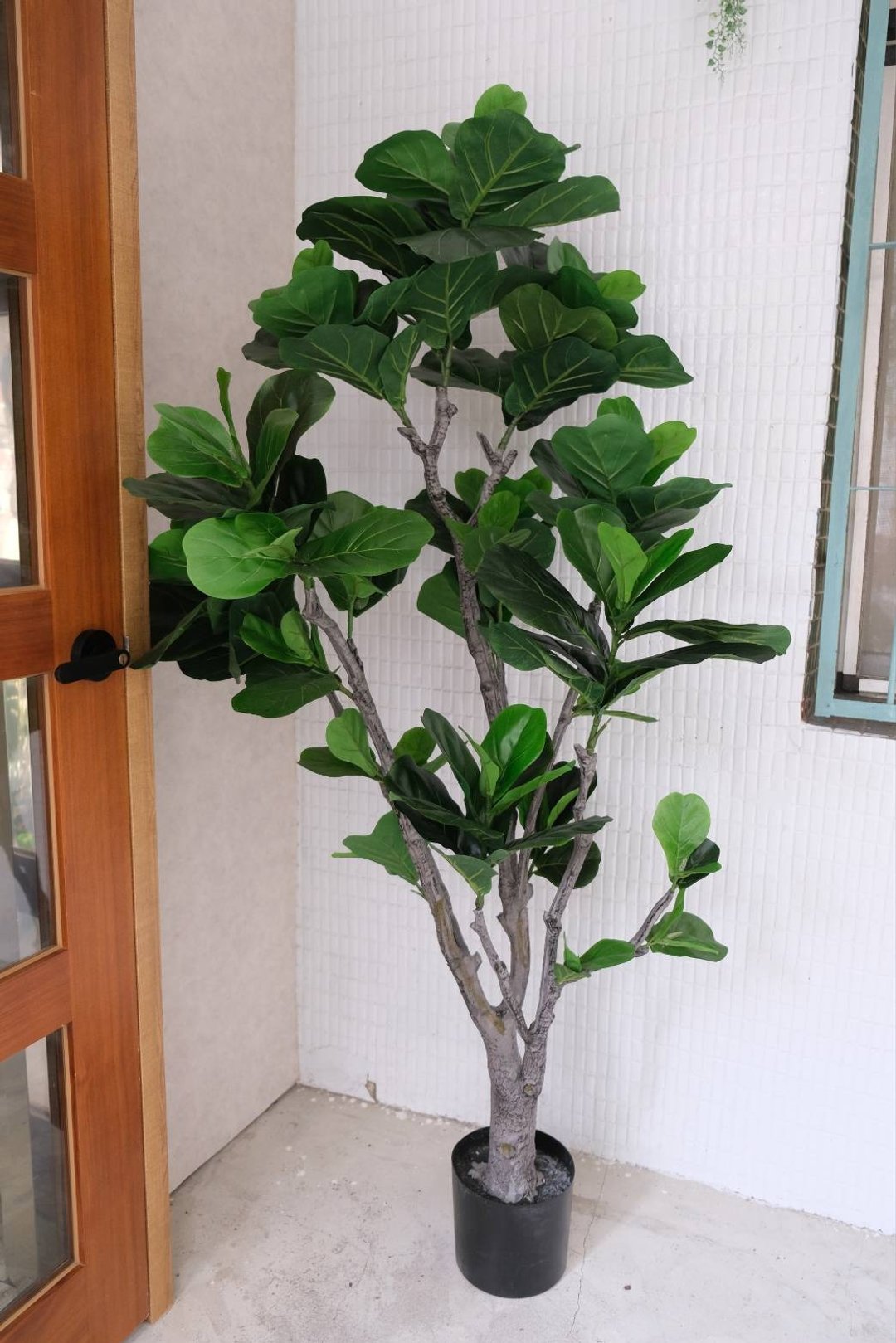 人造植栽/仿真琴叶榕/仿真植物/绿化/永不凋零 - 植栽/盆栽 - 塑料 绿色
