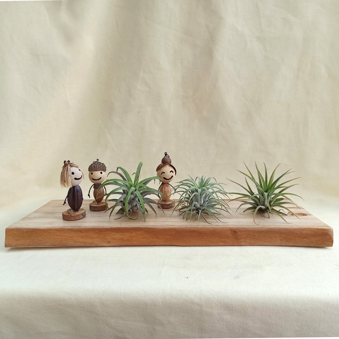 【原木座台】-山肉桂(尺寸34x13x2CM) - 摆饰 - 木头 卡其色