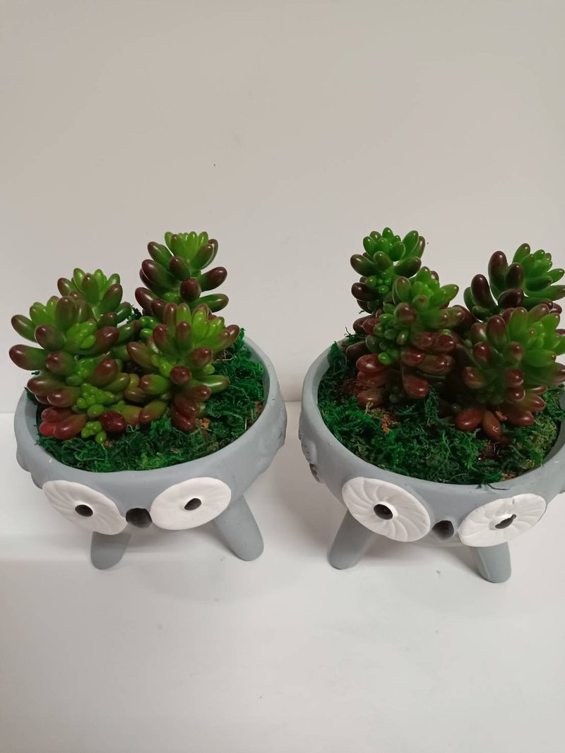 猫头鹰造型桌上型多肉植物盆栽 送礼自用摆设 - 植栽/盆栽 - 陶 