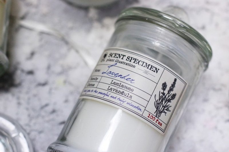 气味标本香氛蜡烛-薰衣草 - 蜡烛/烛台 - 其他材质 