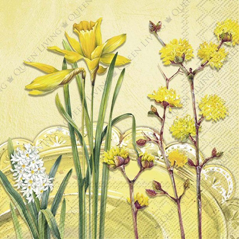 德国 IHR-33*33cm餐巾纸-南茜黄 - 餐垫/桌巾 - 纸 多色