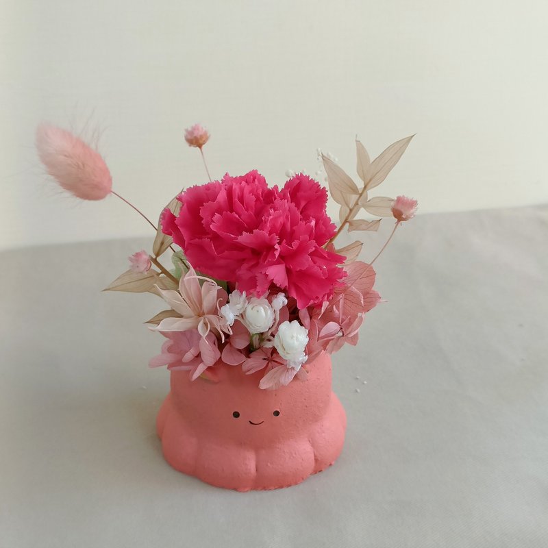 疗愈草尼马永生康乃馨盆花  生日企业赠品课程圣诞节交换礼物花束 - 植栽 - 植物．花 