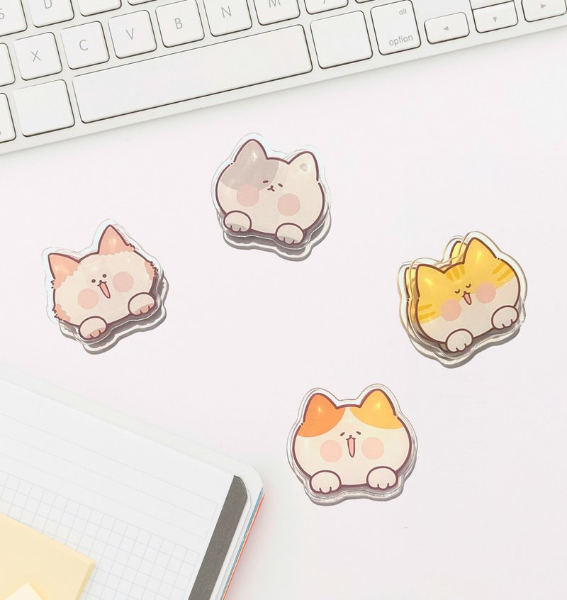 猫趴趴 - 双面压克力PP夹 收纳夹 (4款造型) - 文件夹/资料夹 - 塑料 橘色