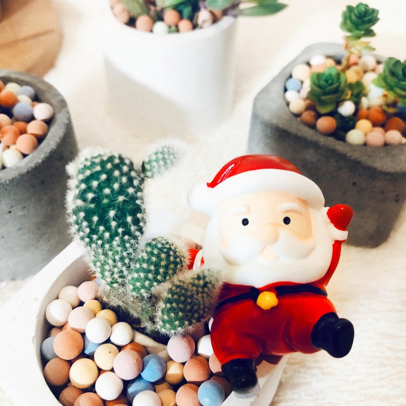 【圣诞礼盒】纯粹系列-泥盆礼盒/质感白 - 植栽/盆栽 - 水泥 白色