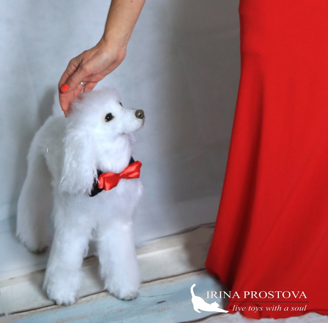 Poodle realistic plush toy - 玩偶/公仔 - 其他材质 白色