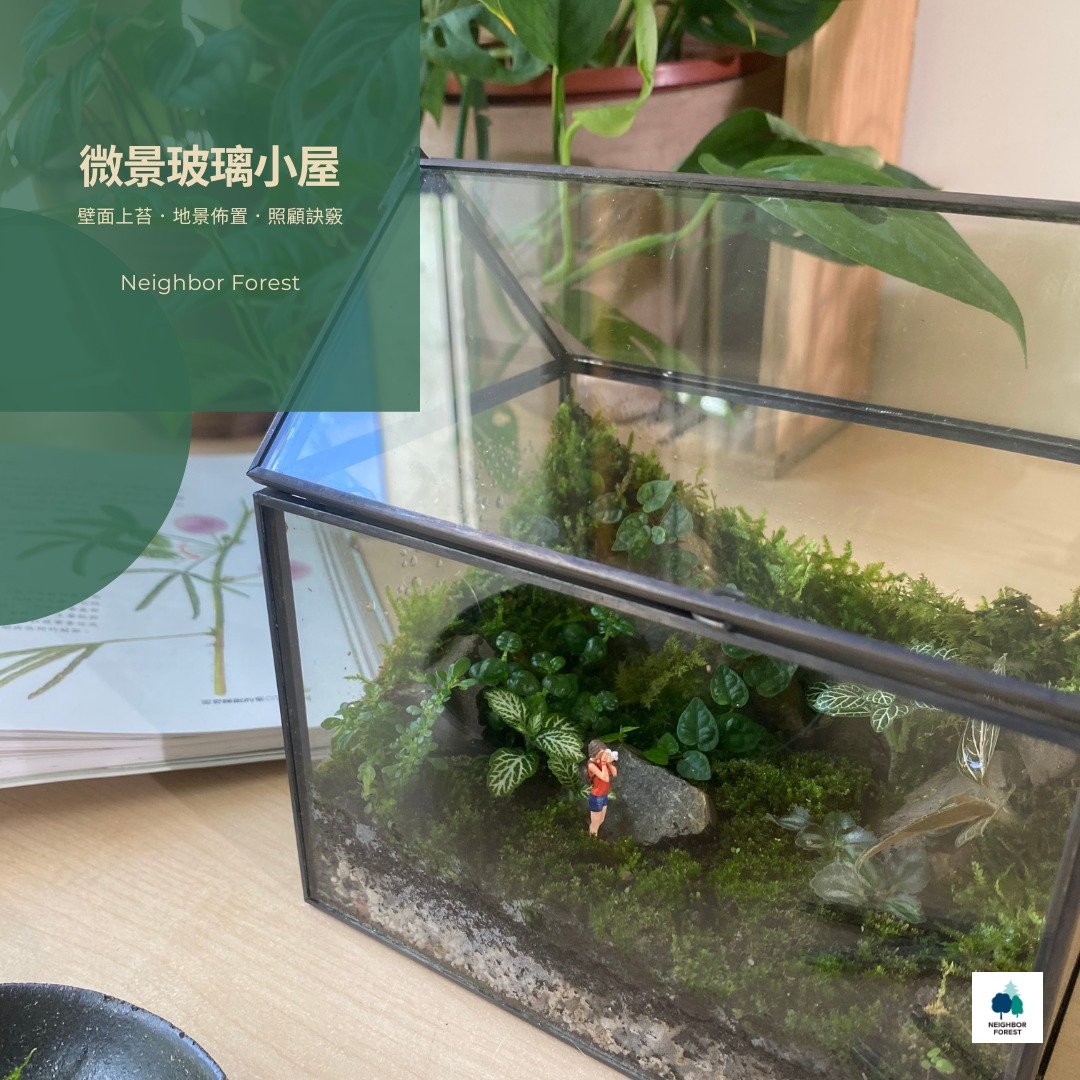 减速节奏 | 微景生态玻璃小屋_进阶班 - 植栽 - 植物．花 