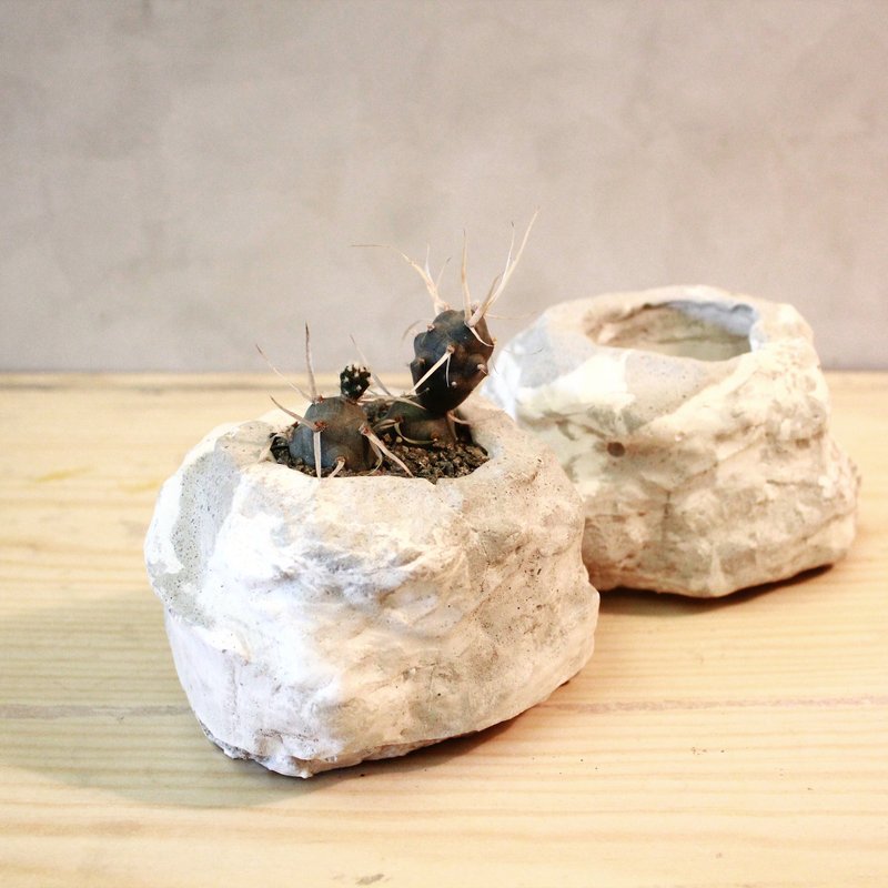 仿石造型水泥盆 - 植栽/盆栽 - 水泥 灰色