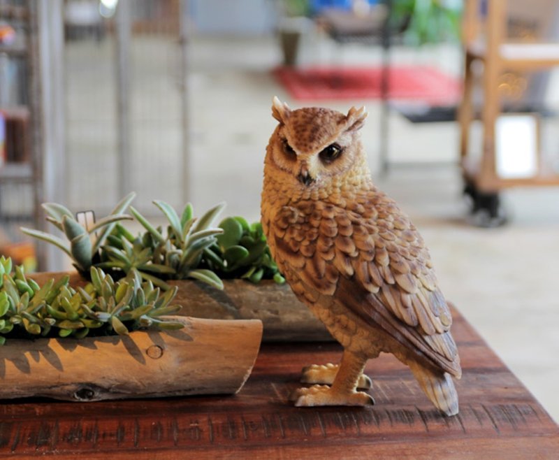 日本Magnets疗愈系列桌上摆饰大猫头鹰存钱筒(长耳鸮) - 储蓄罐 - 树脂 咖啡色