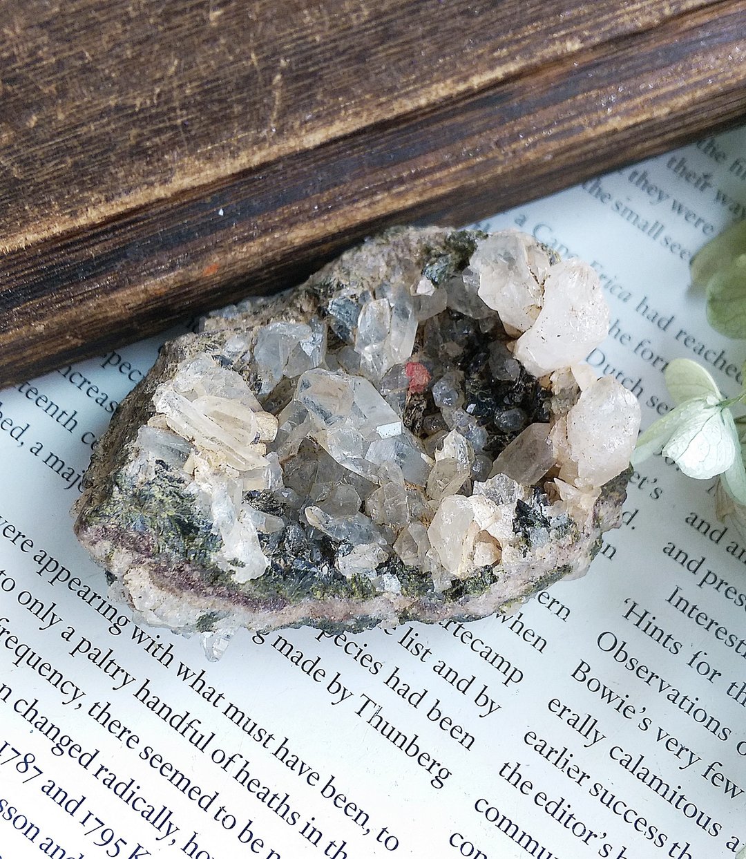Quartz with lnclusions 绿帘石共生矿 花园水晶 天然矿石 原矿 - 摆饰 - 其他材质 